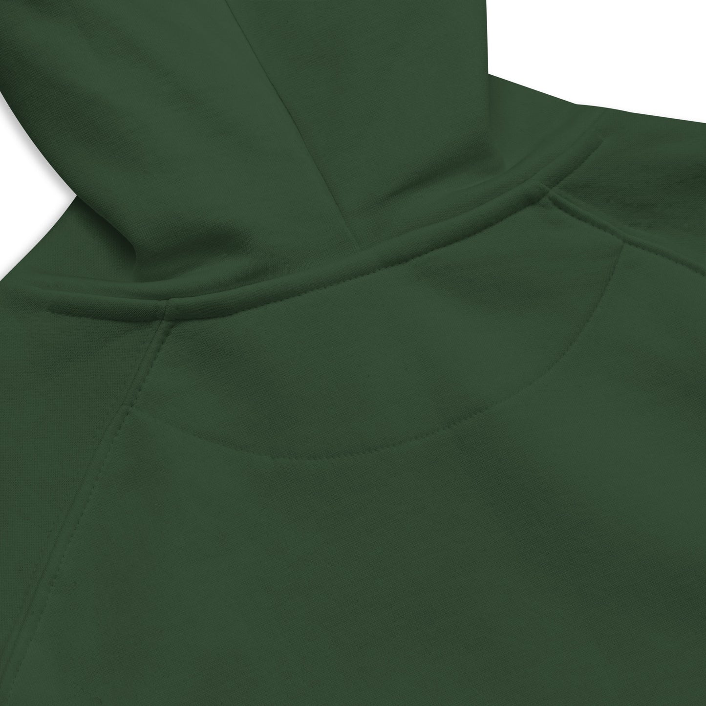 
                  
                    Supernova Explorer sweat à capuche écologique raglan
                  
                