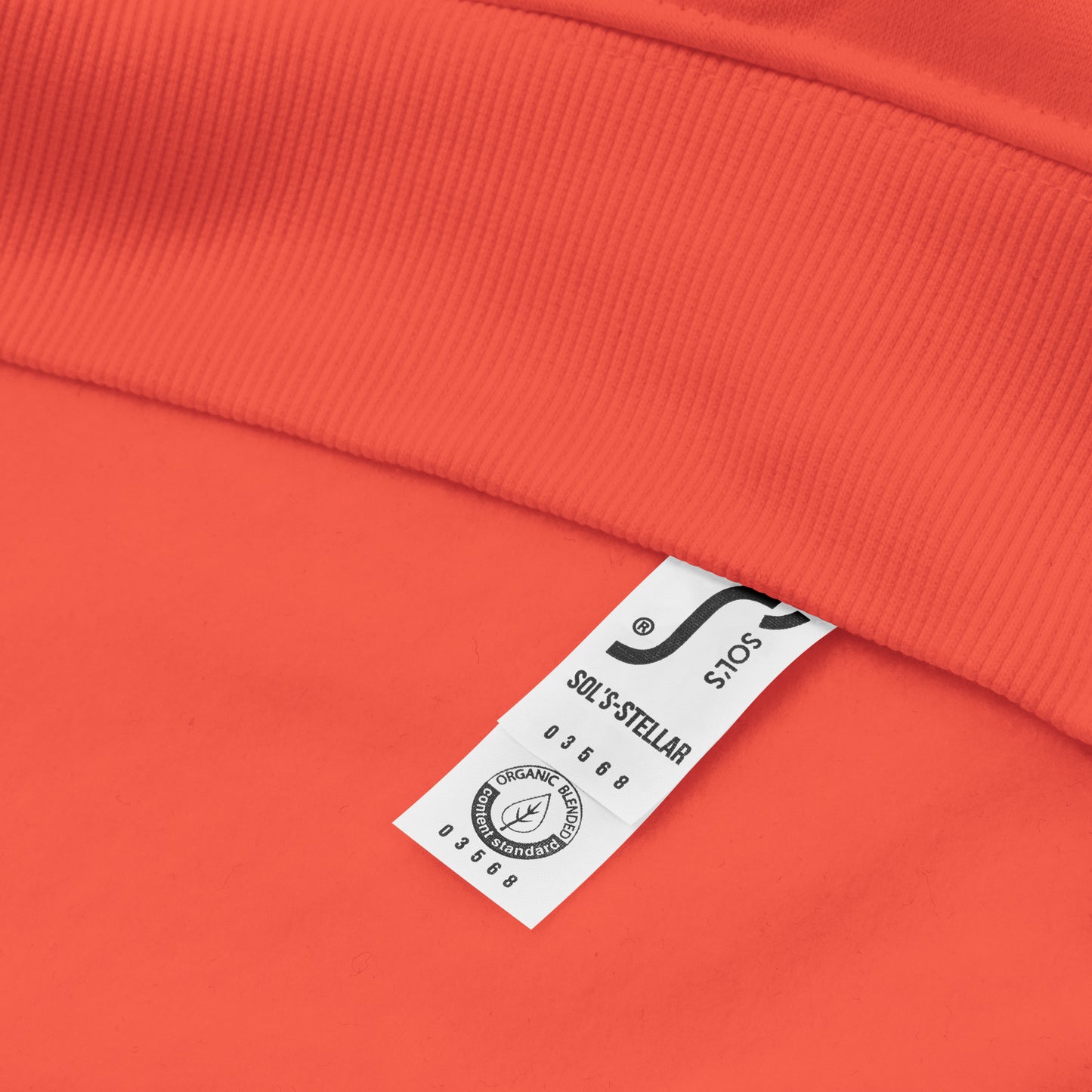 
                  
                    Supernova Explorer sweat à capuche écologique raglan
                  
                